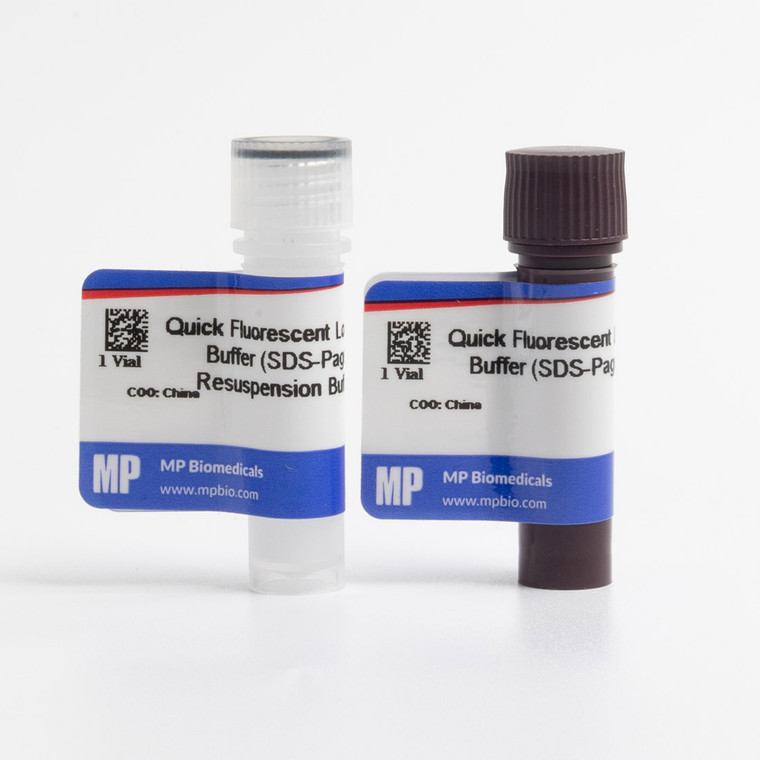 Quick Fluorescent Loading Buffer (SDS-PAGE)-3X, 2 VIALS