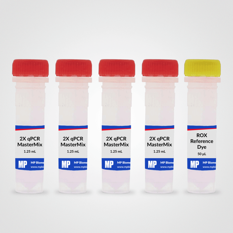 RapidTaq qPCR MasterMix (2X), 500 RXNS