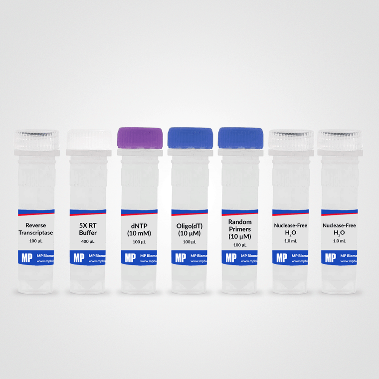 RapidScript cDNA Synthesis Kit, 100 RXNS