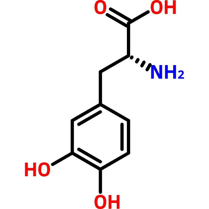D-3,4-Dihydroxyphenylalanine, 1g | Spectrum Chemical®