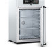 Memmert® UF260PLUS Forced Convection Lab Oven, 256L | 9 cu. ft.