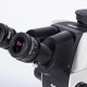 Motic® SM7-7TR-PACH Trinocular Stereo Microscope