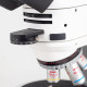 Motic® Panthera TEC POL Binocular Microscope