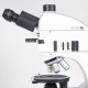 Motic® Panthera TEC POL EPI Binocular Microscope