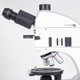 Motic® Panthera TEC POL Digital Microscope