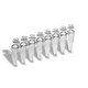 ProCycle™ 0.2mL Rigid Stable 8-Strip PCR Tubes