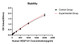 Rabbit anti-Human VEGF121 mAb, Monoclonal (RM17839) | ABclonal Technology™