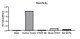 Rabbit anti-Human VEGF121 mAb, Monoclonal (RM17840) | ABclonal Technology™