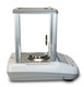 Accuris™ Analytical Balance W3101A-120, series Dx