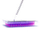 SilverSeal - image 2
