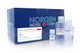Norgen Biotek™ RNA Clean-Up and Concentration 96-Well Kit, 2 Plates