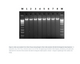 Norgen Biotek™ Plant/Fungi DNA Isolation 96-Well Kit, 2 Plates
