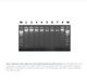 Norgen Biotek™ Saliva DNA Isolation 96-Well Kit (Magnetic Bead System), 2 Plates