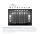 Norgen Biotek™ Saliva DNA Isolation 96-Well Kit (Magnetic Bead System), 2 Plates