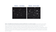 Norgen Biotek™ Plasma/Serum Exosome Purification Midi Kit, 25 Preps