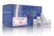 Norgen Biotek™ Plasma/Serum Exosome Purification and RNA Isolation Maxi Spin Column Kit, 15 Preps