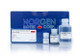 Norgen Biotek™ Urine Total RNA Purification Maxi Kit (Slurry Format), 50 Preps