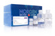Norgen Biotek™ Adenovirus Purification Kit, 15 Preps