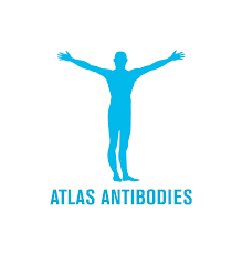 Atlas Antibodies™