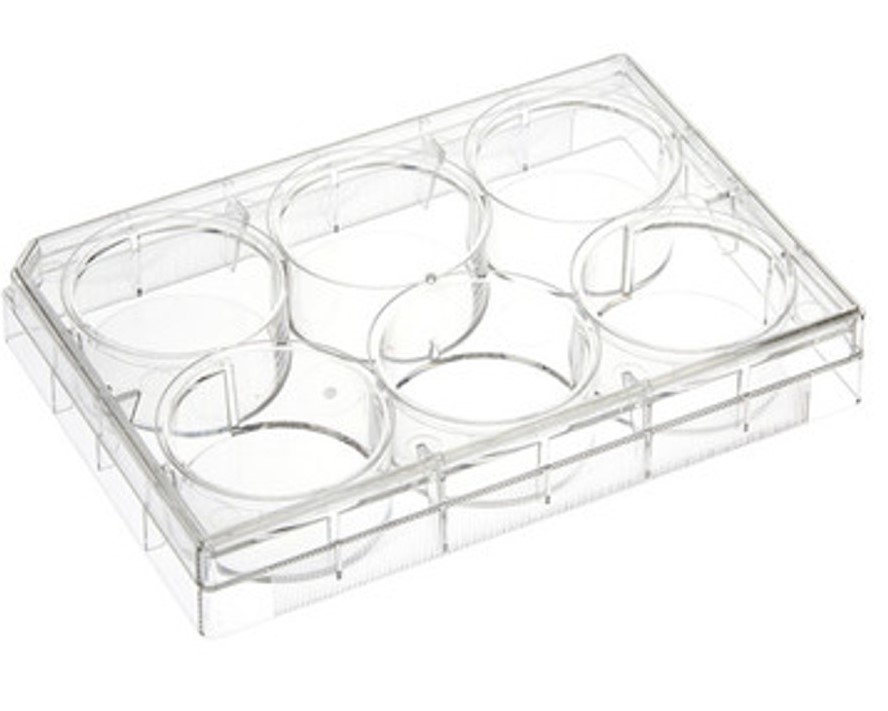CellPro™ 96 Well Cell Culture Plate V-Bottom, 100/Case