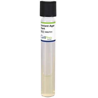 Chocolate Agar with Enrichment, 20 mL Plate, 10/Pk