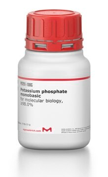 ノビルジャ商品 Methylmagnesium bromide solution, 1 X 100 mL (189898-100ML