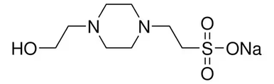 ʟ-Glutathione oxidized disodium salt, 1 X 250 mg (G2140-250MG)