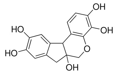 Sodium dodecyl sulfate, 1 X 50 g (71726-50G-F) | MilliporeSigma