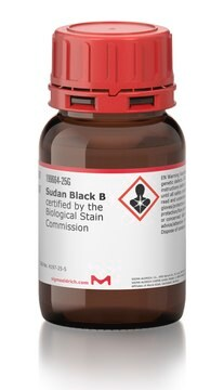あすなろ様　1／2000 専用 Sudan Black B, 1 X 25 g (199664-25G) | MilliporeSigma® (Sigma-Aldrich)