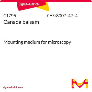 l carnitina sirve para la disfuncion erectil L-carnitina: qu es y cmo acta en nuestro organismo?