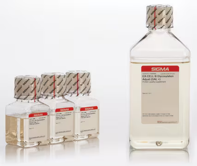Rosetta 2(DE3) Singles Competent Cells - Novagen, 22 reactions