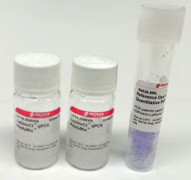 Cesium fluoride, 1 X 100 g (198323-100G) | MilliporeSigma® (Sigma