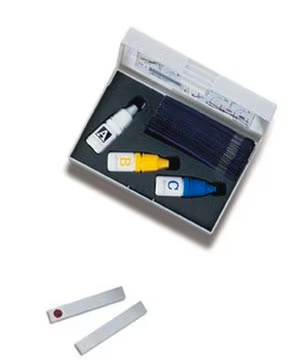 Anti-DOPEY1 antibody produced in rabbit, 1 X 100 µL (HPA027902