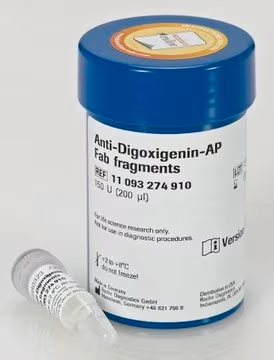 Anti-Digoxigenin-AP, Fab fragments, 200 μL (11093274910 ...