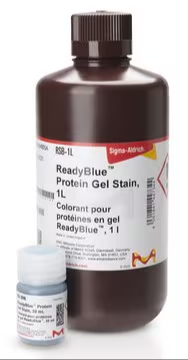 READYBLUE® PROTEIN GEL STAIN, 1 X 1 L (RSB-1L) | MilliporeSigma® (Sigma ...