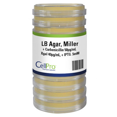 CellPro NZY Agar 150mm: Premium Lab Culture Medium