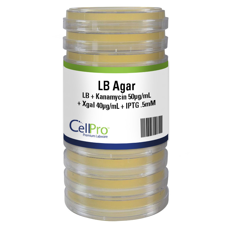 Nutrient Agar with MUG 10mL 60x15mm Filter, 10/Pk