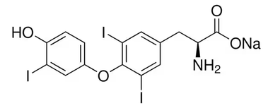 Triiodo 3,3′,5-Triiodo-ʟ-thyronine sodium salt, 1 X 100 mg (T6397-100MG ...