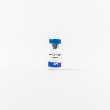 Whole Sheep Serum, 2 ML | MP Biomedicals®