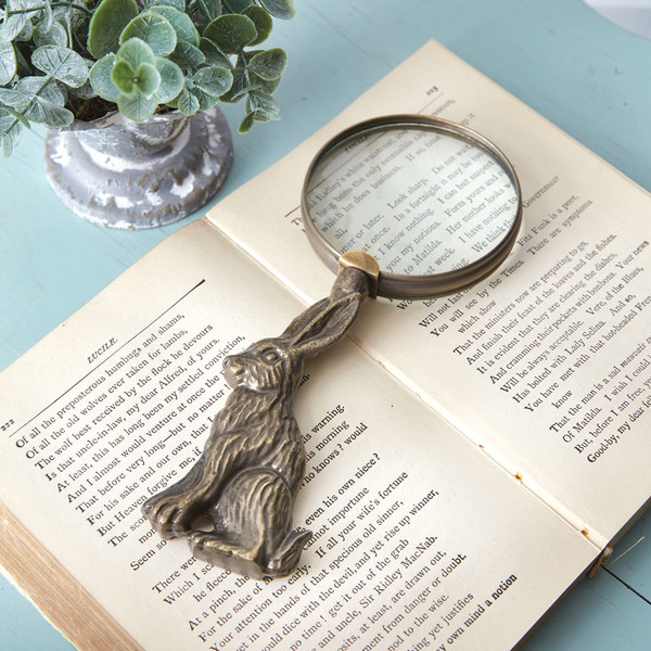 Hare Magnifying Glass 370958 By CTW Home