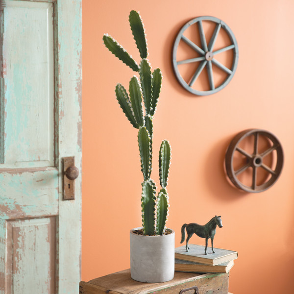 Cowboy Cactus Plant 600000 By CTW Home