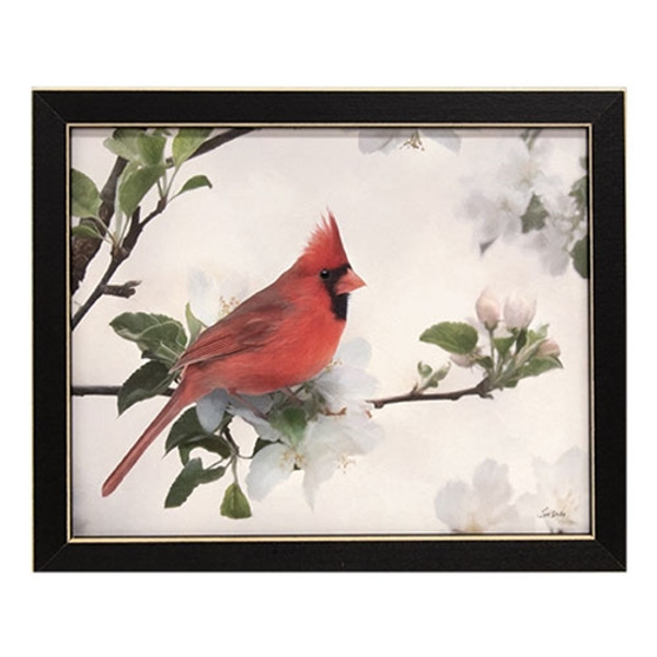CWI Gifts Spring Cardinal Framed Print 10X8 GCLD3358810