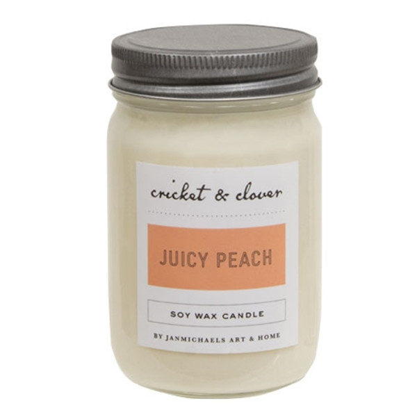 CWI Gifts Juicy Peach Soy Mason Candle GJC101901