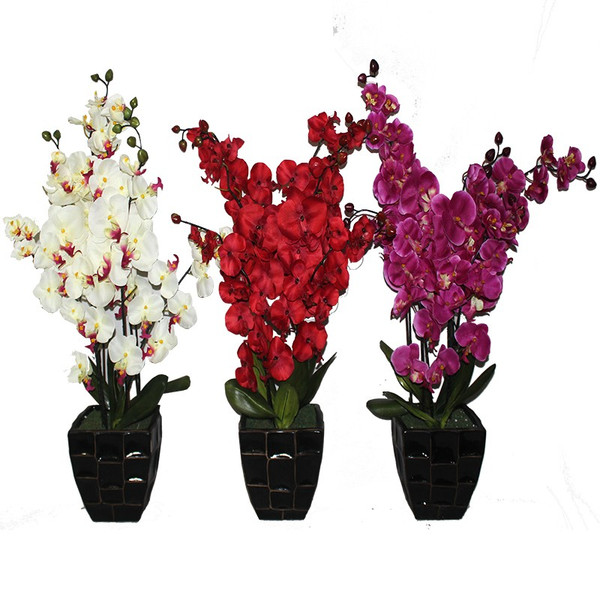 EN112065 Essential Artificial Orchid With Vase 3 Assorted - Pack Of 4