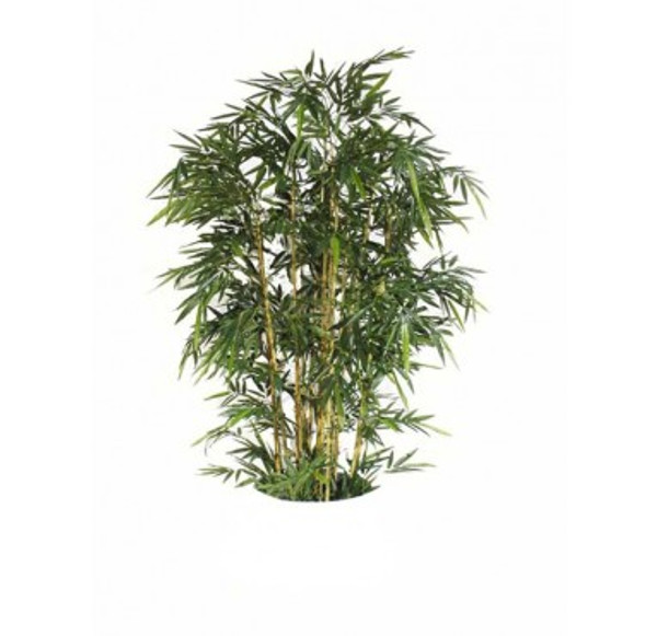 Bamboo Tree, Unpotted 7' - Natural (Pack Of 2) 50443 by Gold Leaf