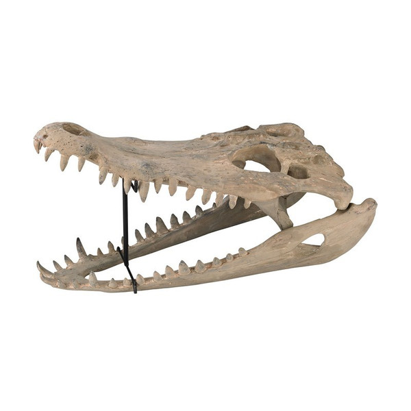 Guild Master Cretaceous Gator Skull 2182-001