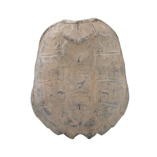 Guild Master Cretaceous Spiny Turtle Shell Wall Decor 2182-019
