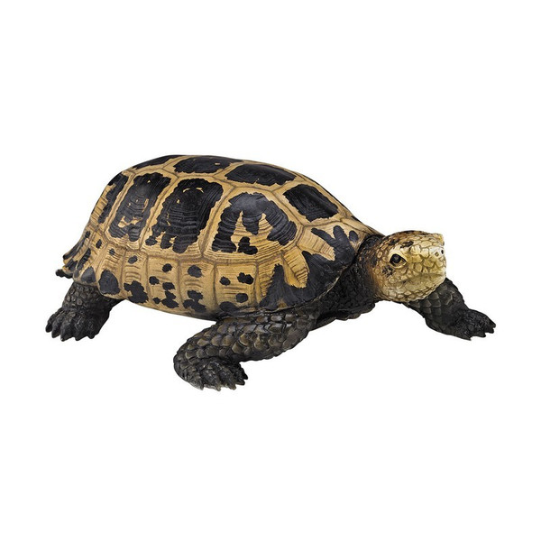 Guild Master San Cristobal Decorative Turtle 2182-030