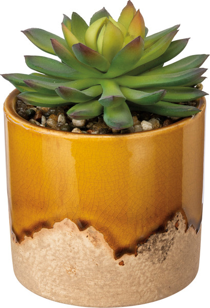 Planter - Brown Glazed - Set Of 2 (Pack Of 2) 102626 By Primitives By Kathy