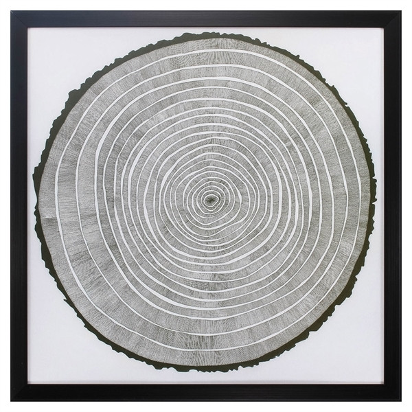 Tree Theory Wall Decor 3966 By Propac Images